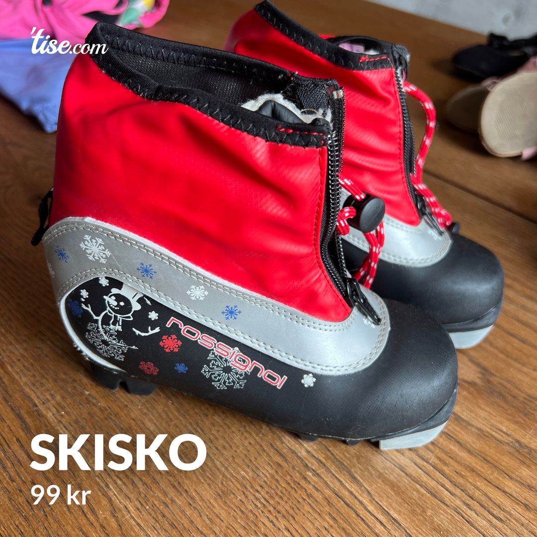 Skisko