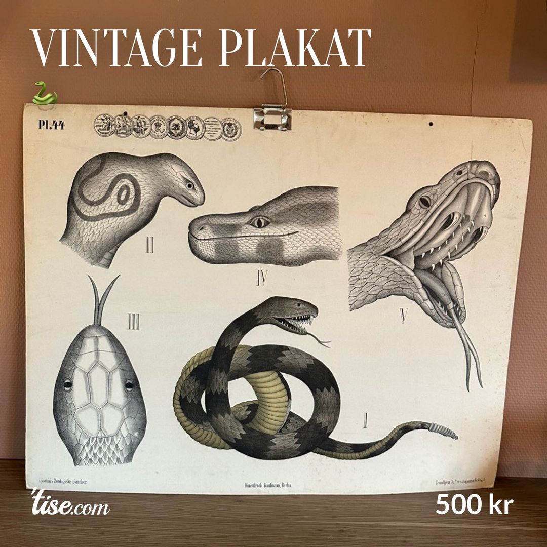 Vintage plakat