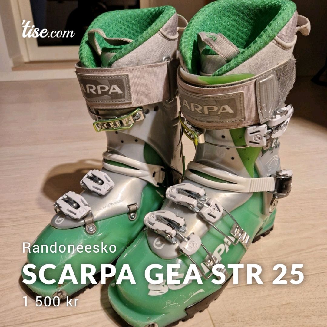 Scarpa Gea Str 25