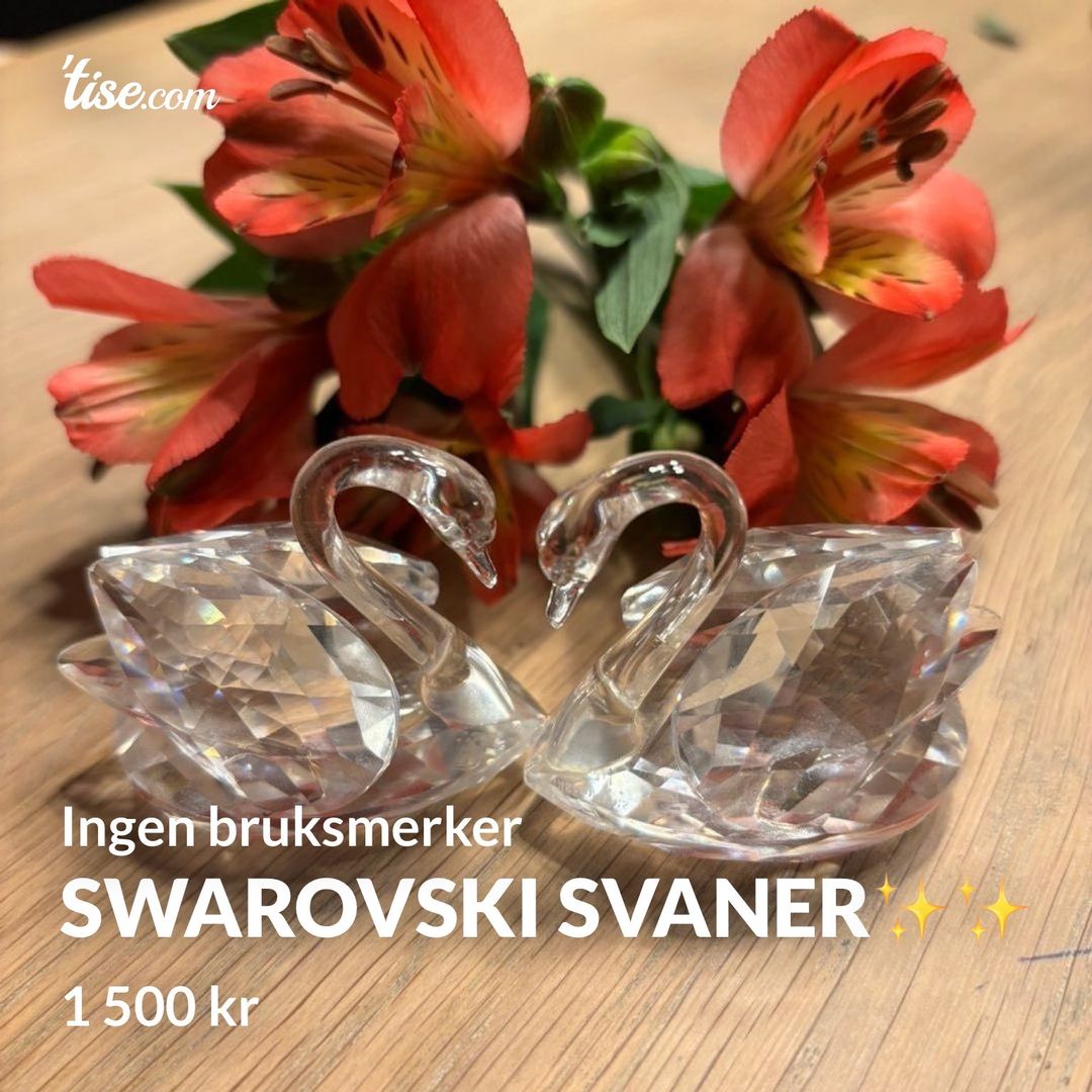 Swarovski svaner✨✨