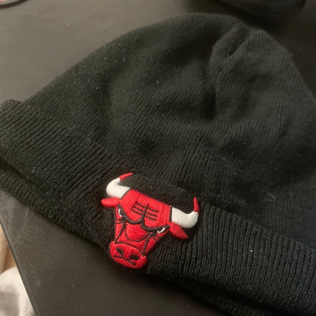 Chicago bulls