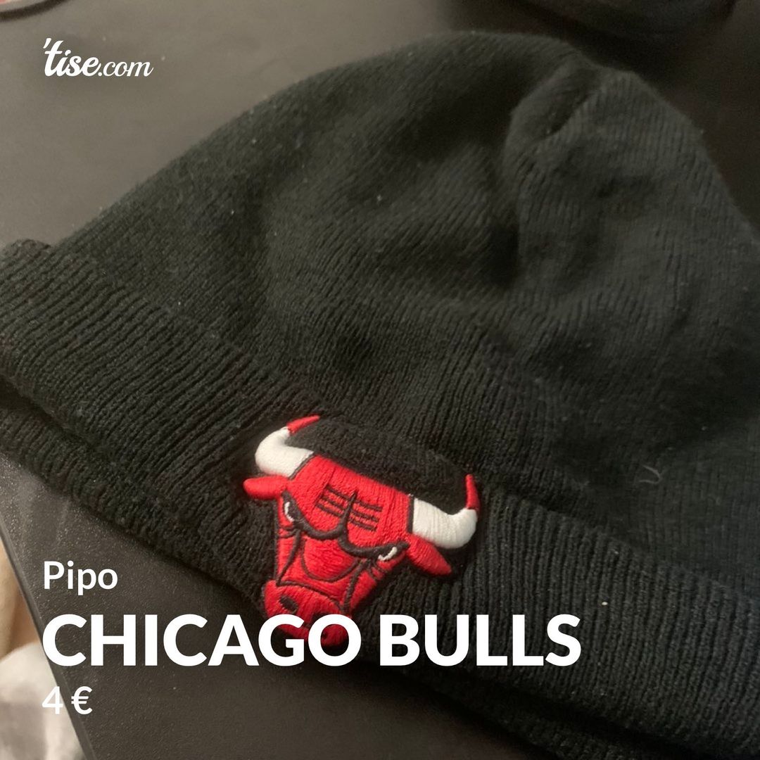 Chicago bulls