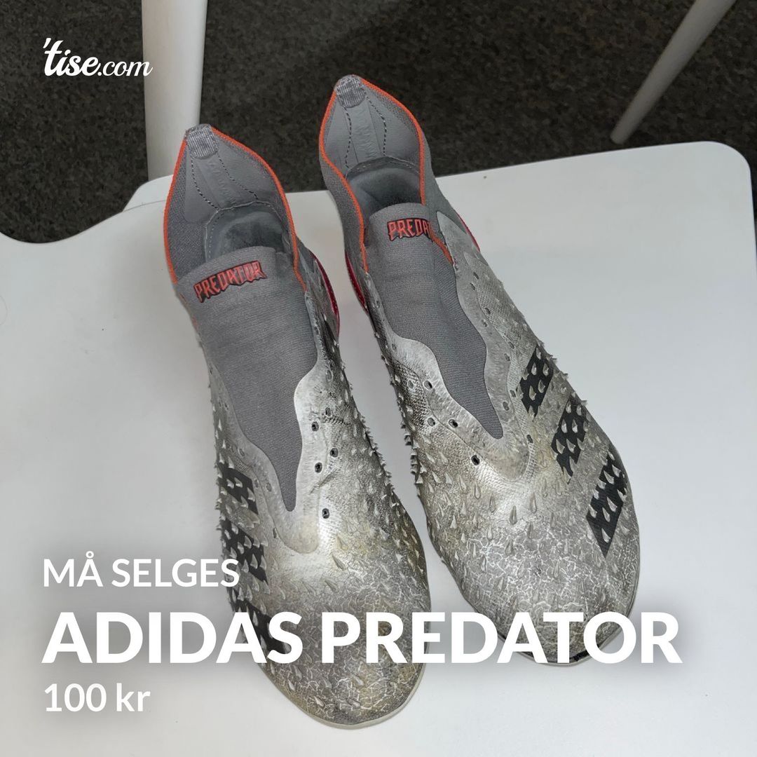 Adidas predator