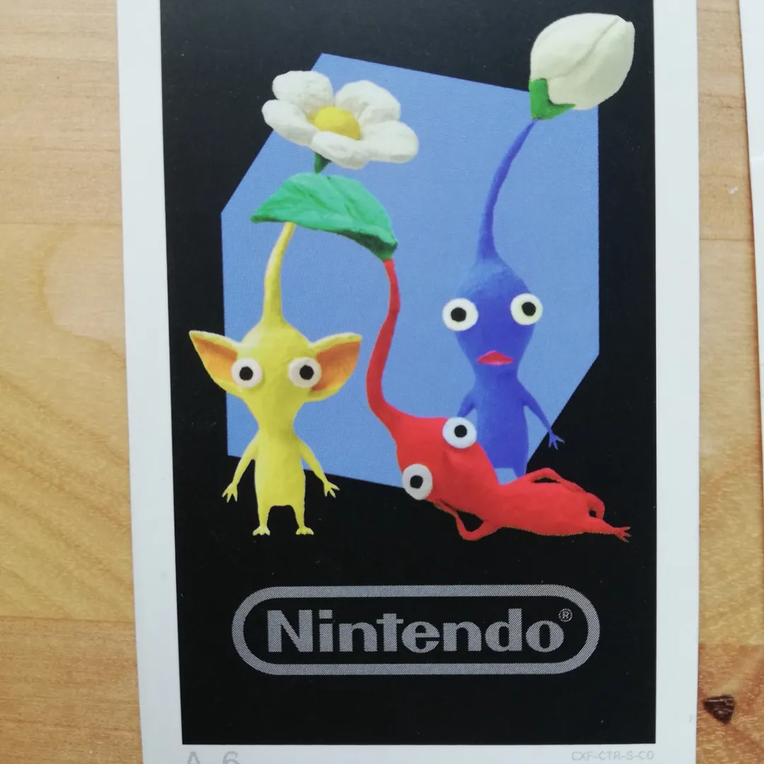 Nintendo Kort