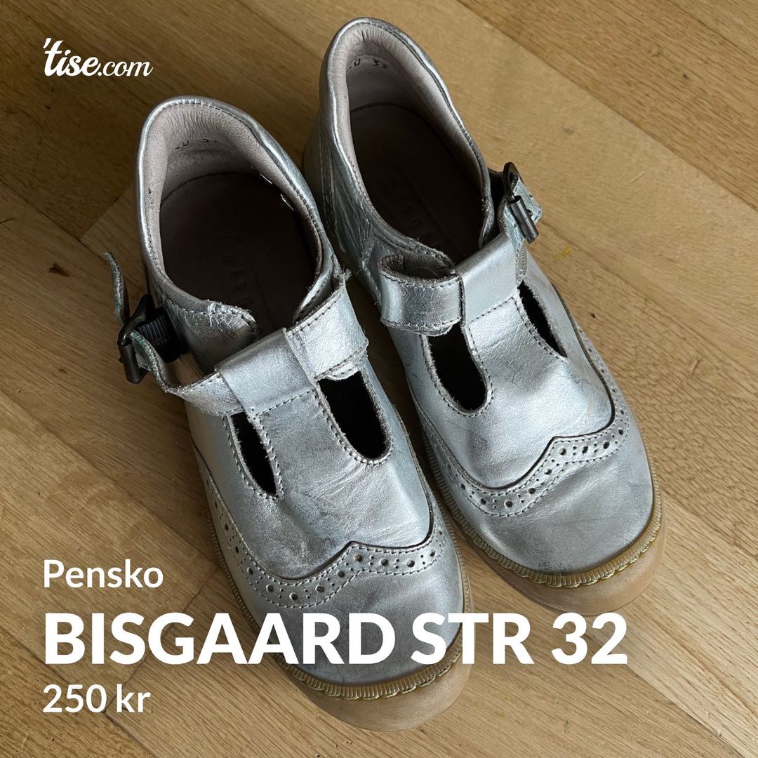 Bisgaard str 32