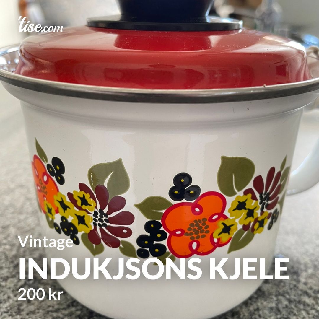 Indukjsons kjele