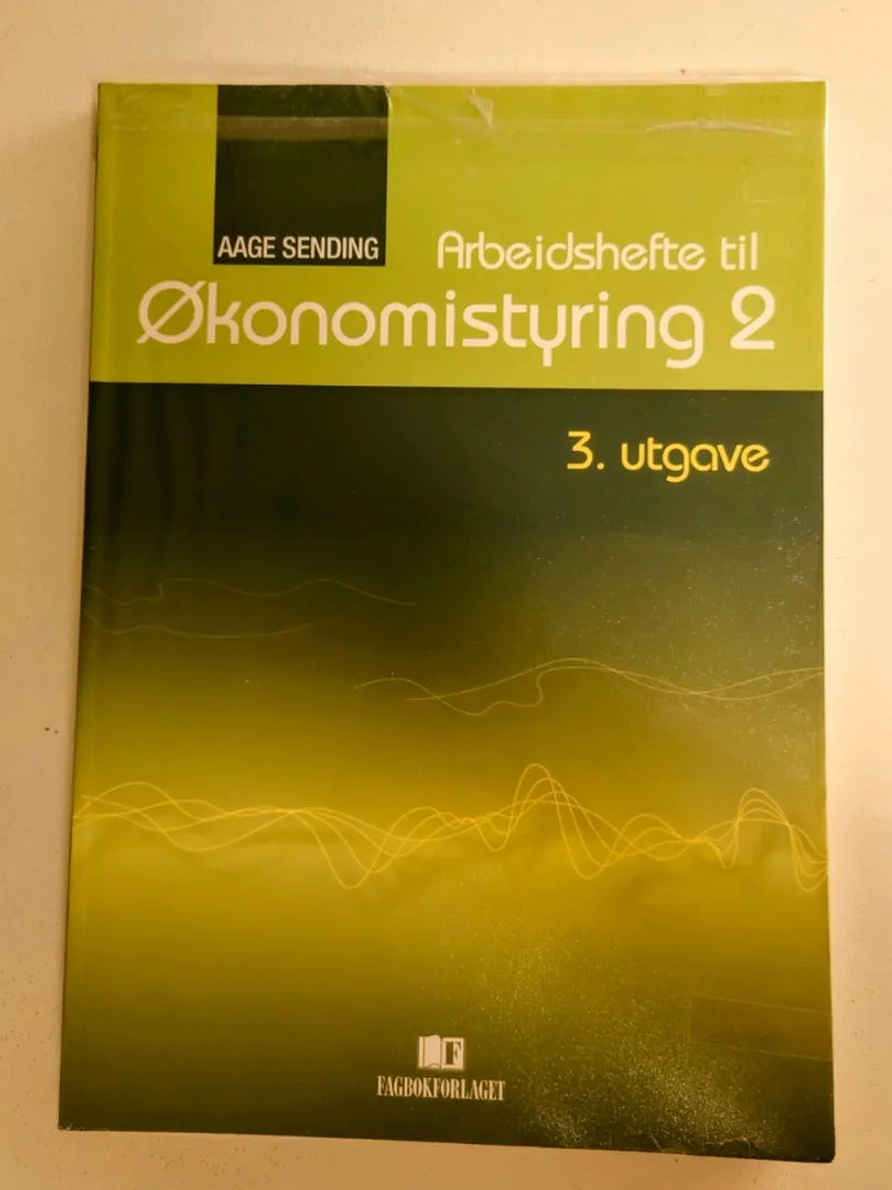 Økonomistyring 2