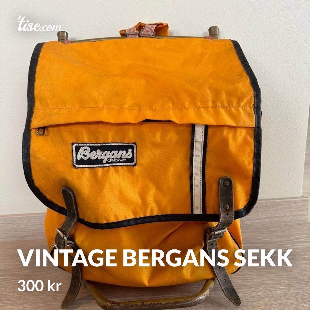 Vintage Bergans sekk