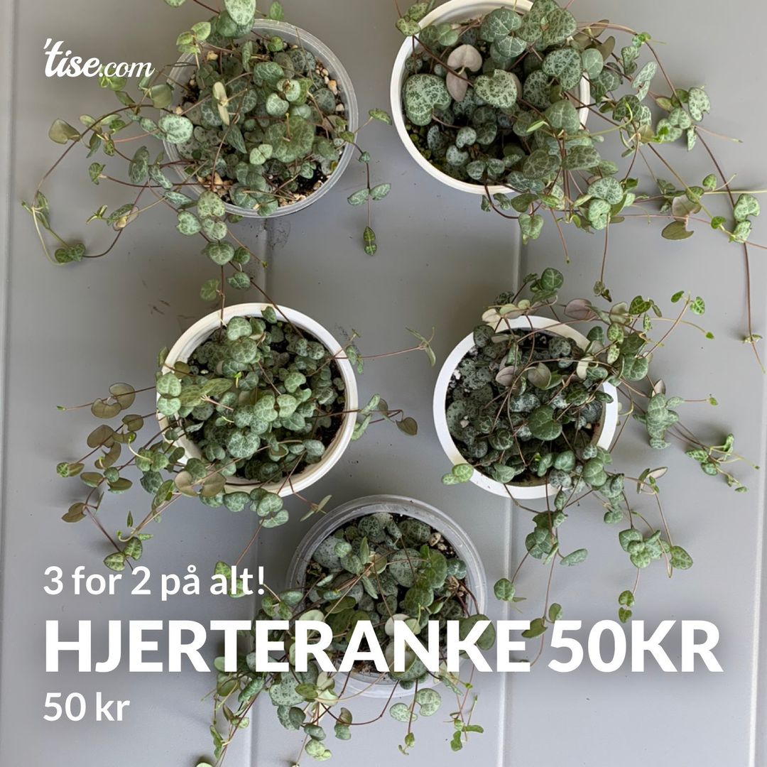 Hjerteranke 50kr