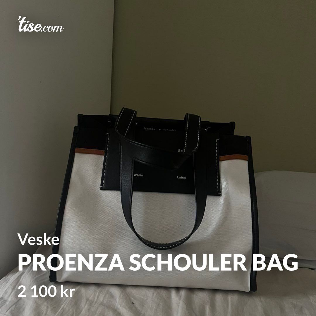 Proenza Schouler bag