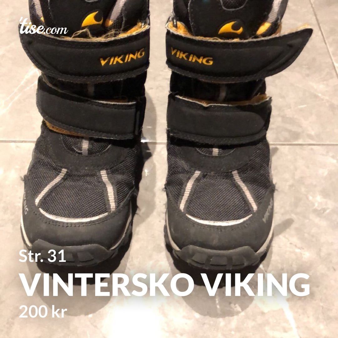 Vintersko Viking