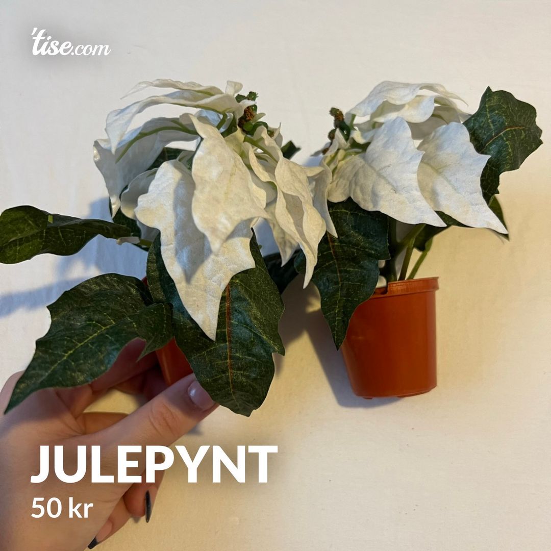 Julepynt