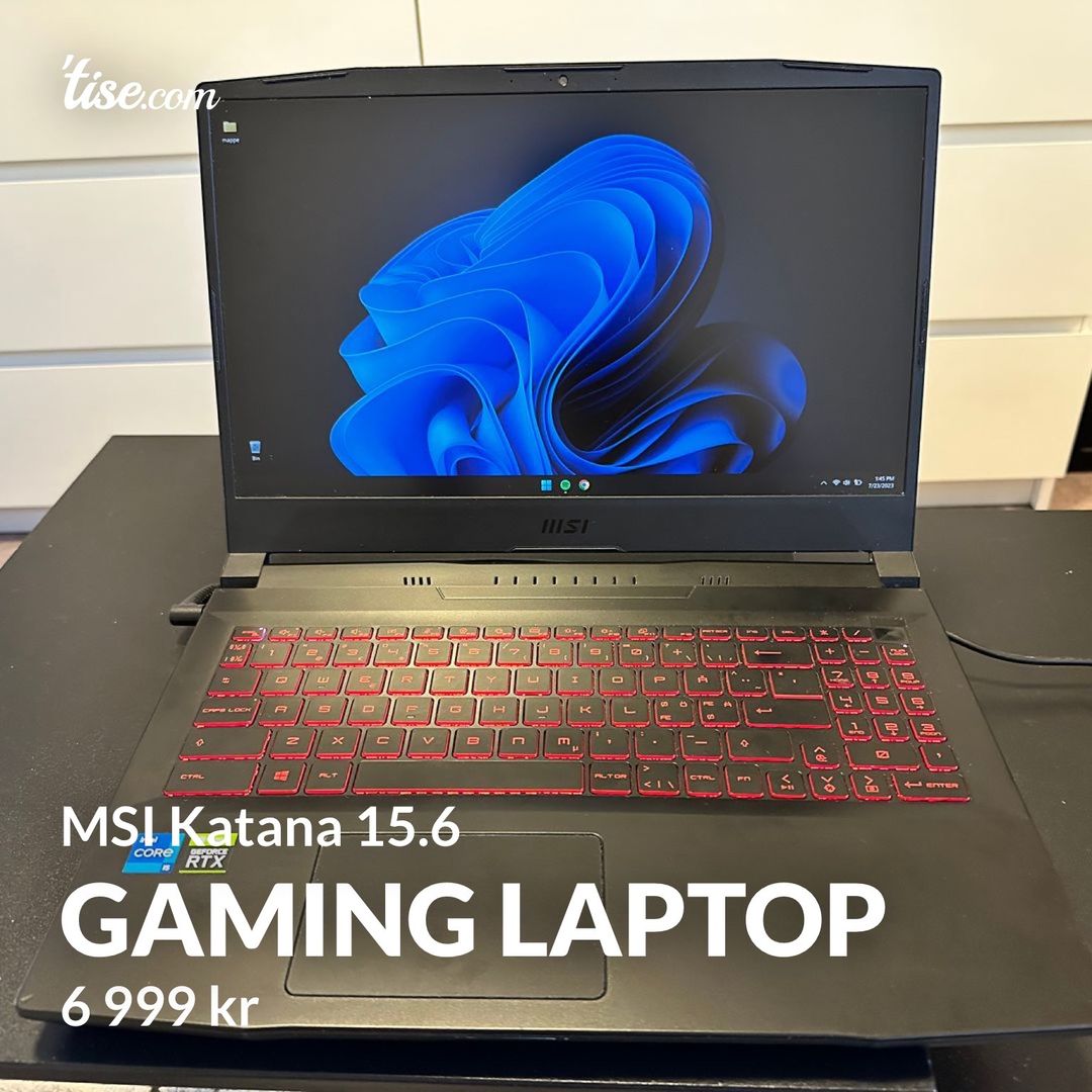 Gaming Laptop