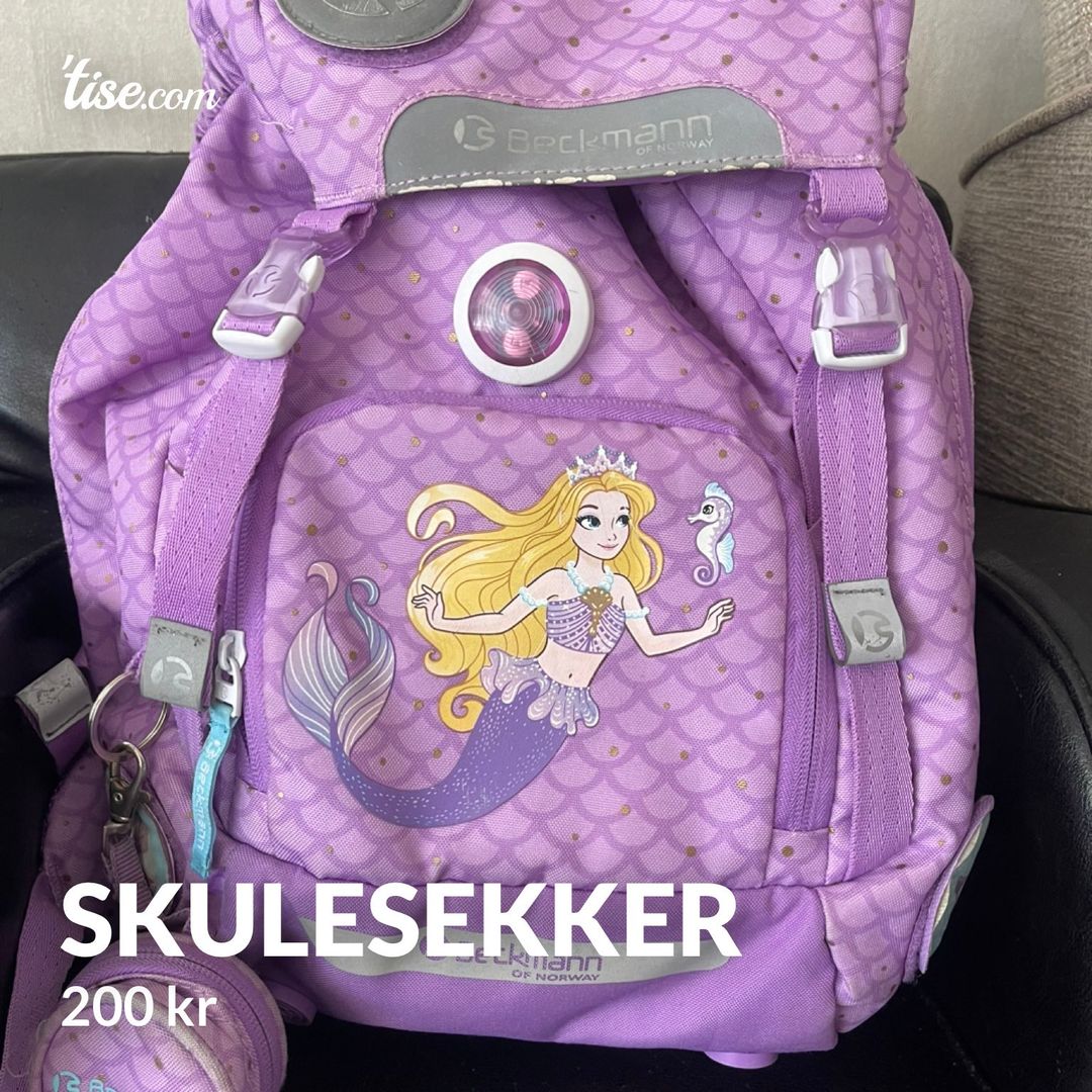 Skulesekker