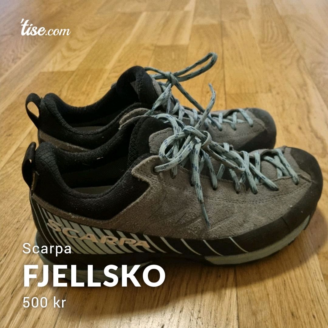 Fjellsko