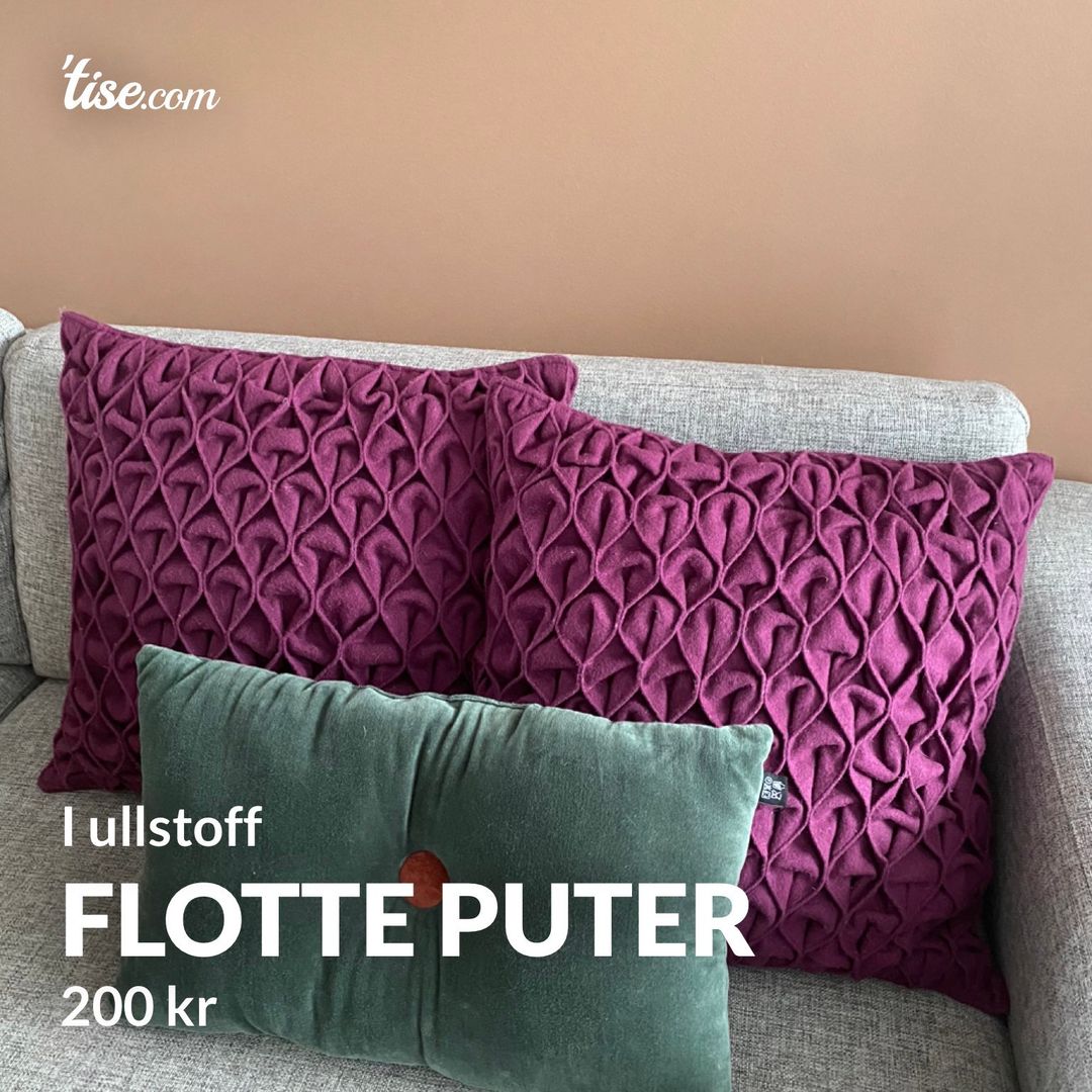 Flotte puter