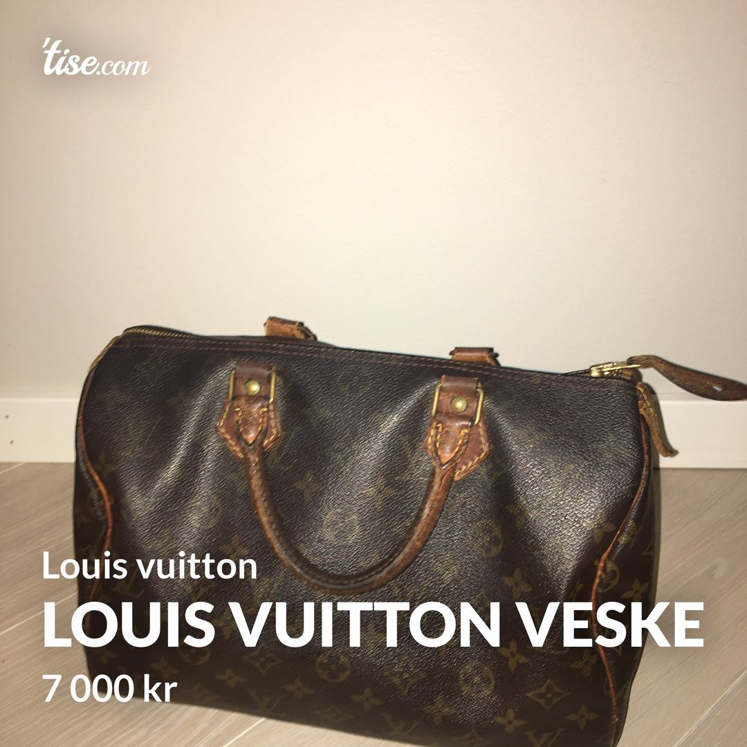 Louis vuitton veske