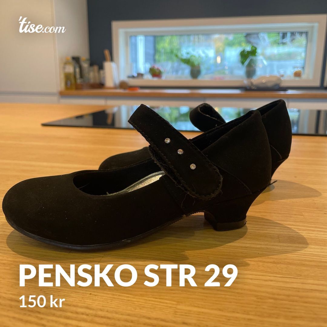 Pensko str 29