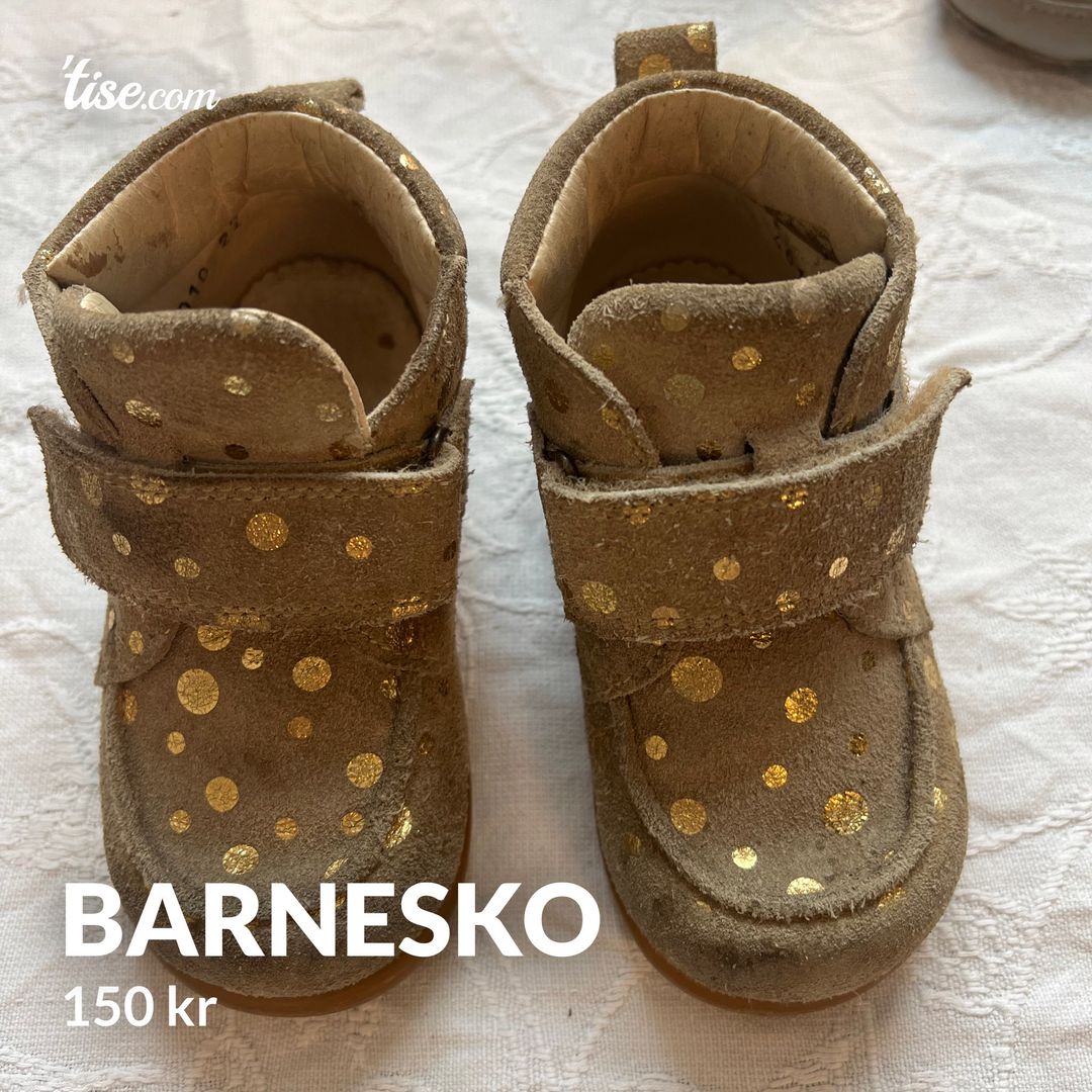 Barnesko