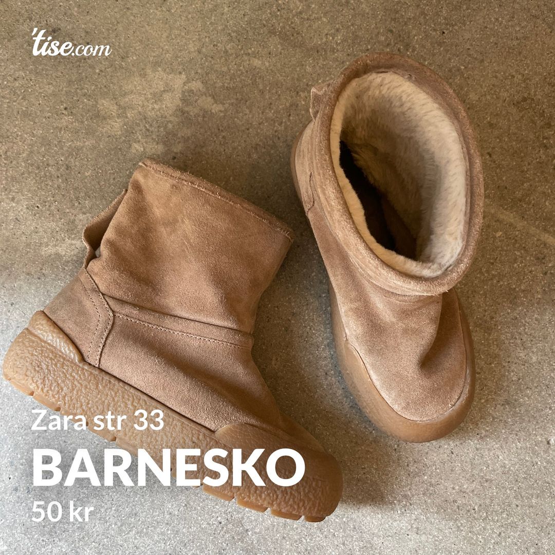 Barnesko