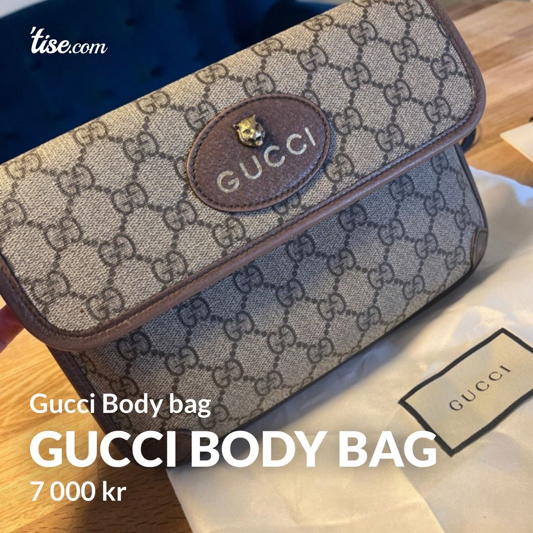 Gucci Body bag