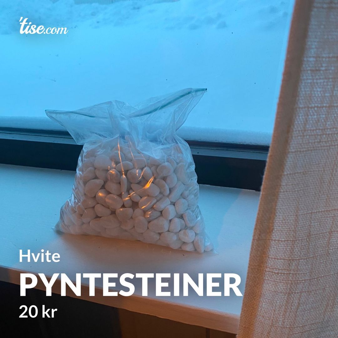 Pyntesteiner