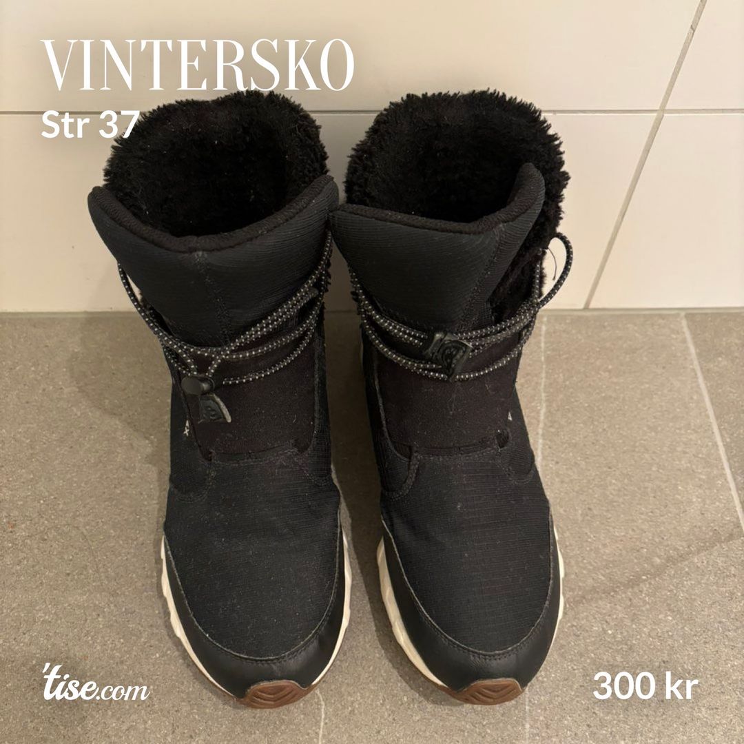 Vintersko