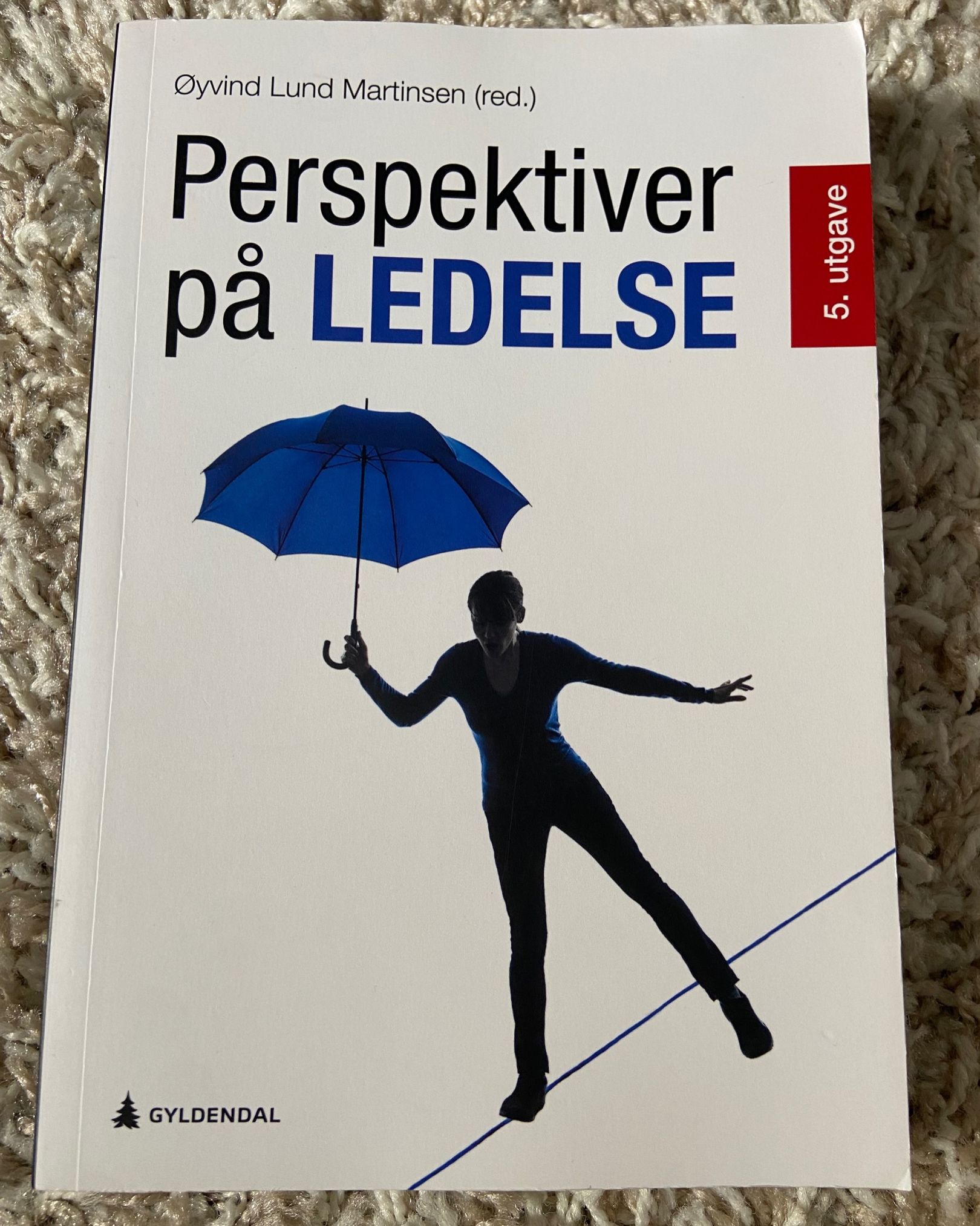 Perspektiver ledelse