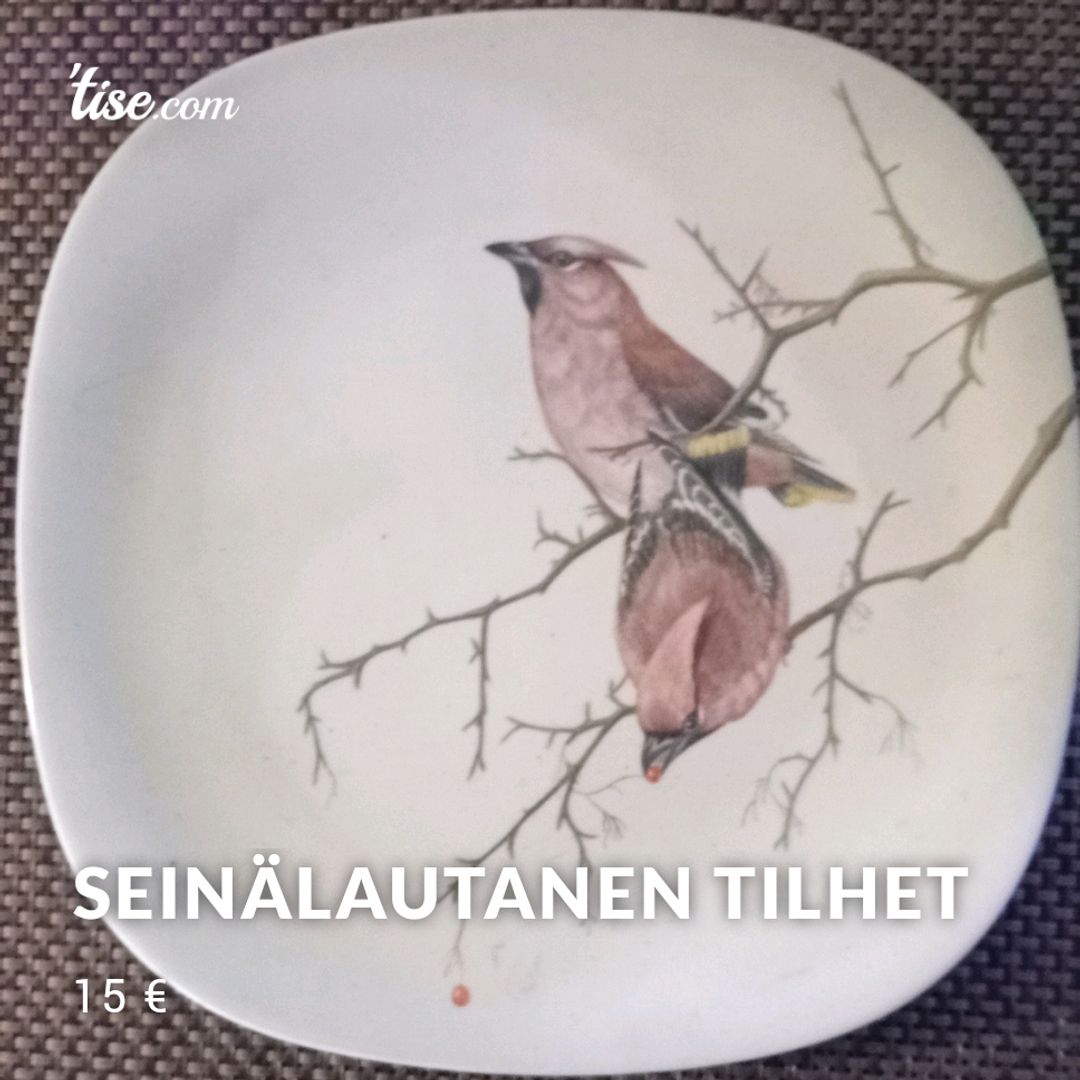 Seinälautanen Tilhet