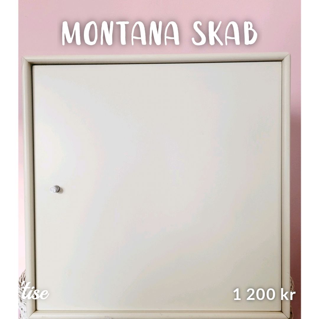 Montana Skab