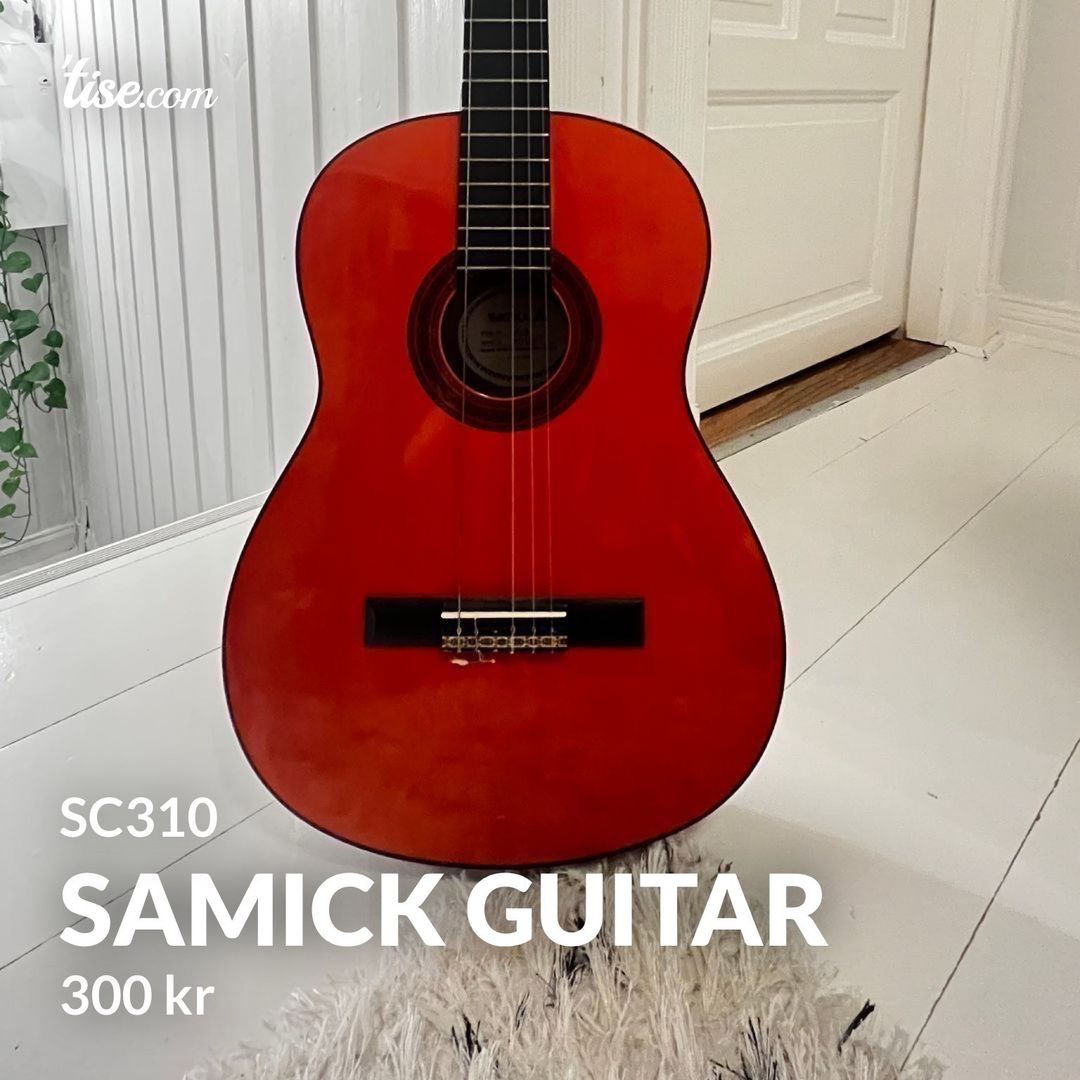 Samick Guitar