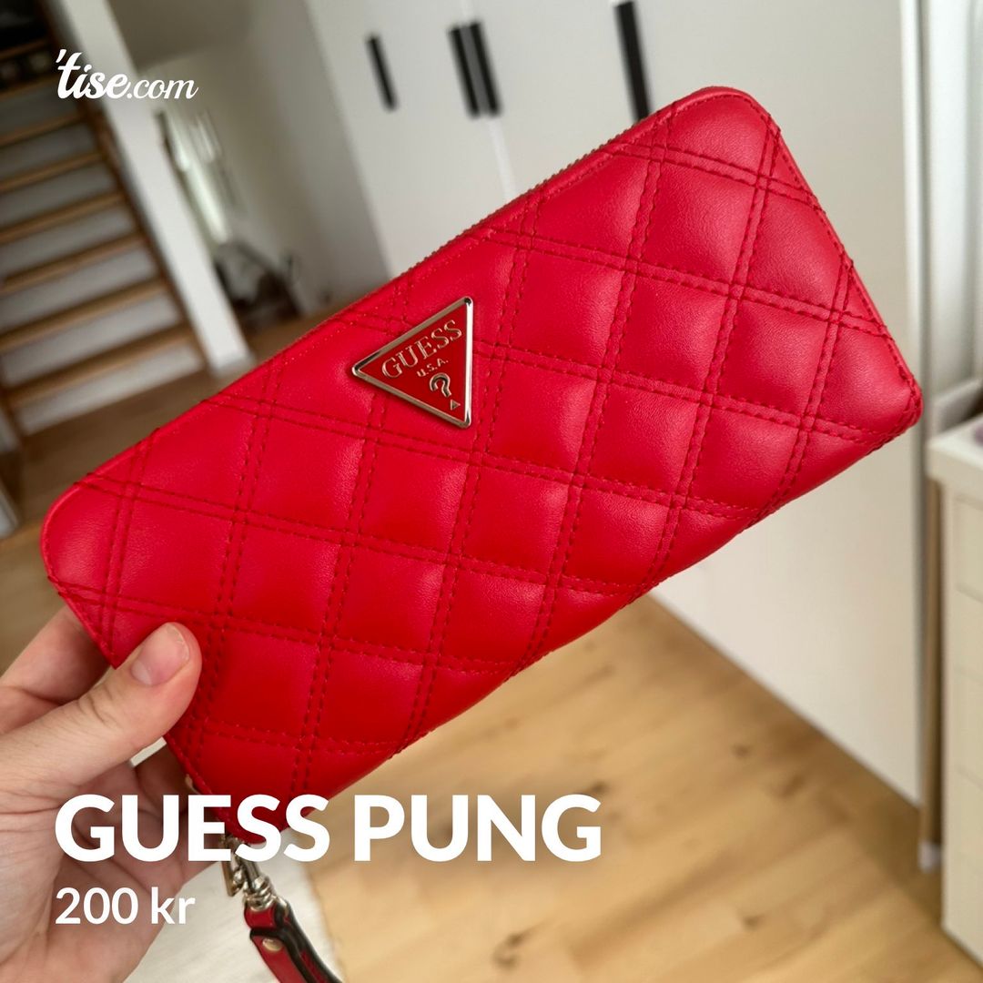 Guess pung