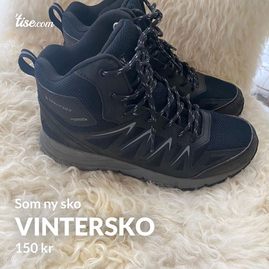 Vintersko