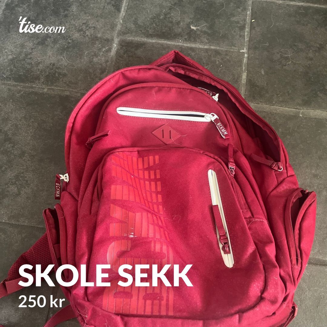 Skole sekk