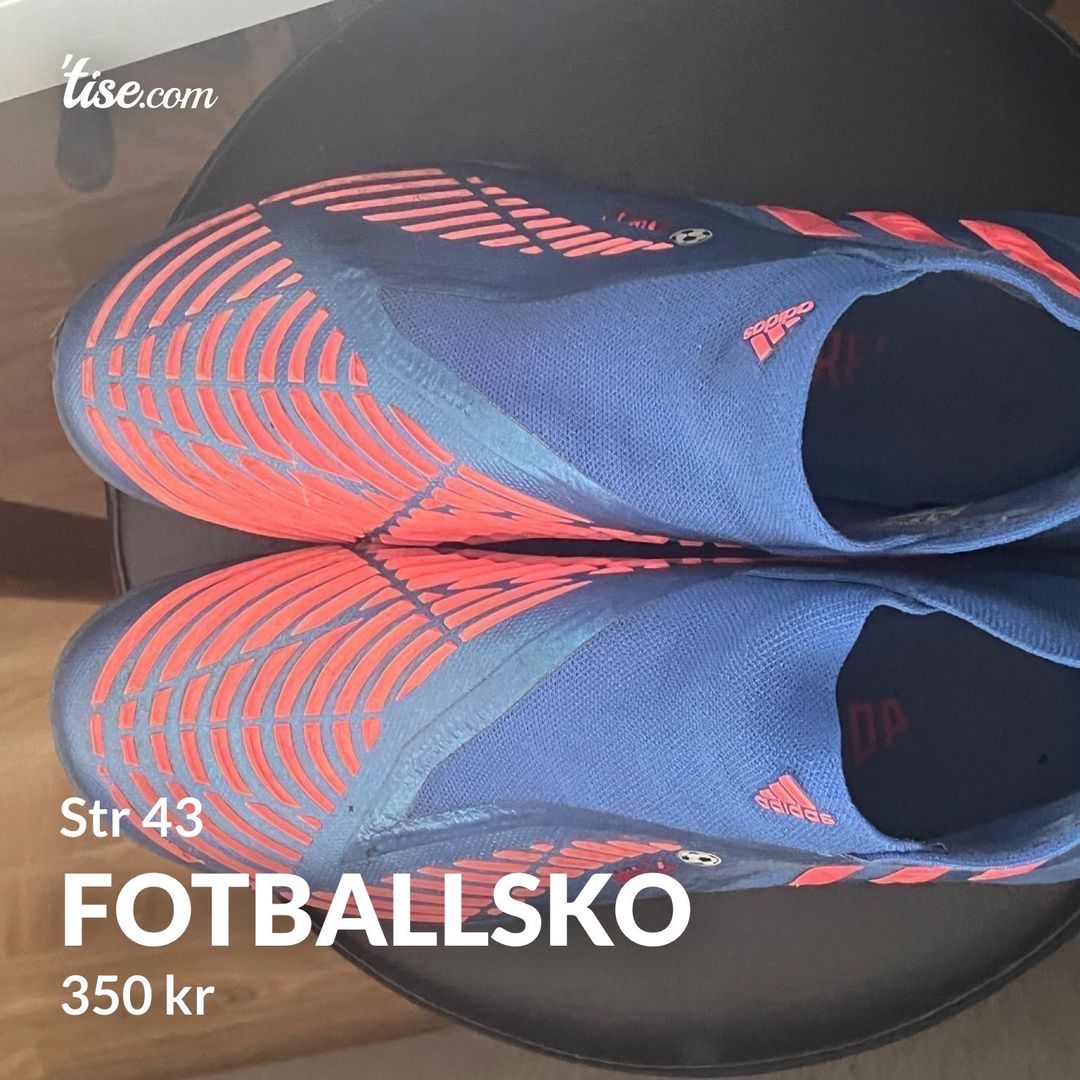 Fotballsko