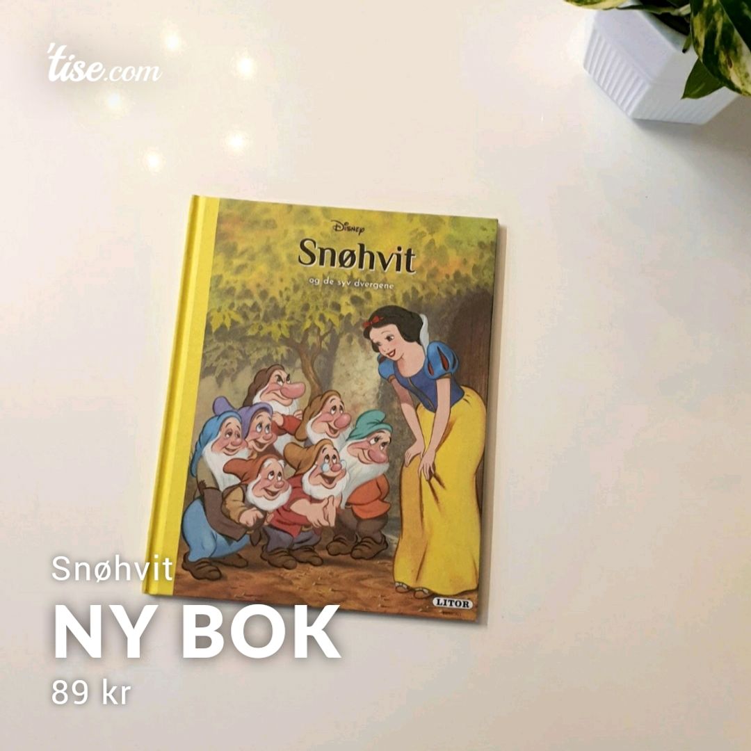 Ny Bok