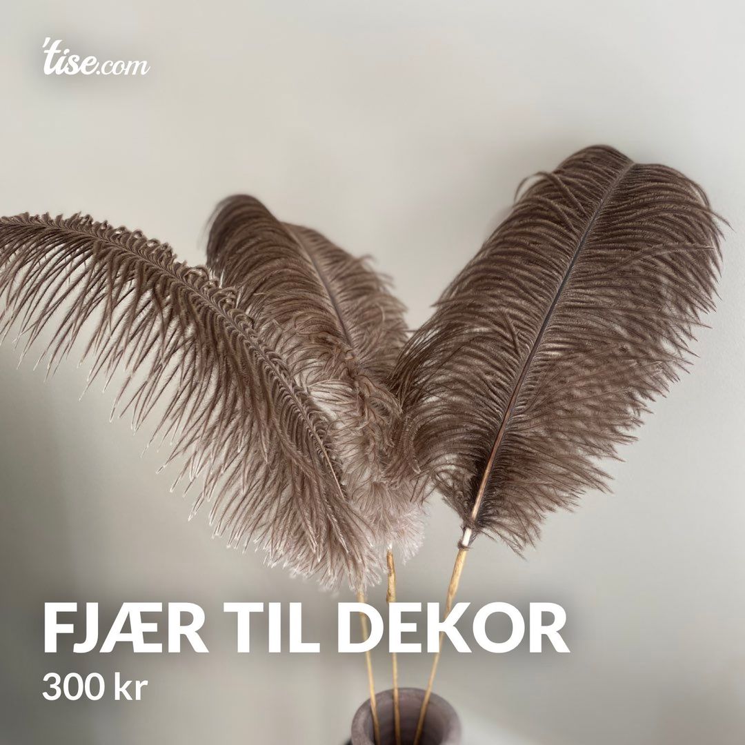 Fjær til dekor