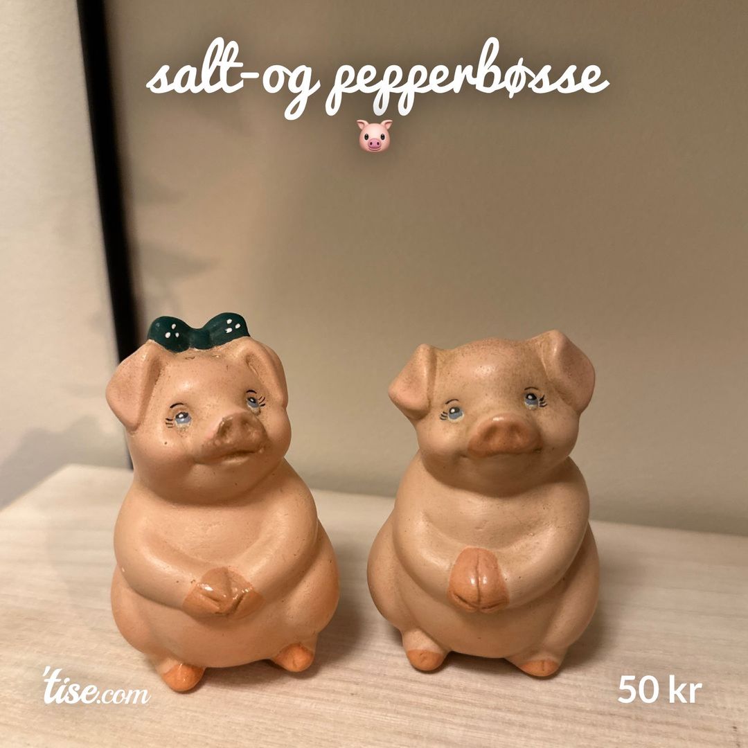 salt-og pepperbøsse