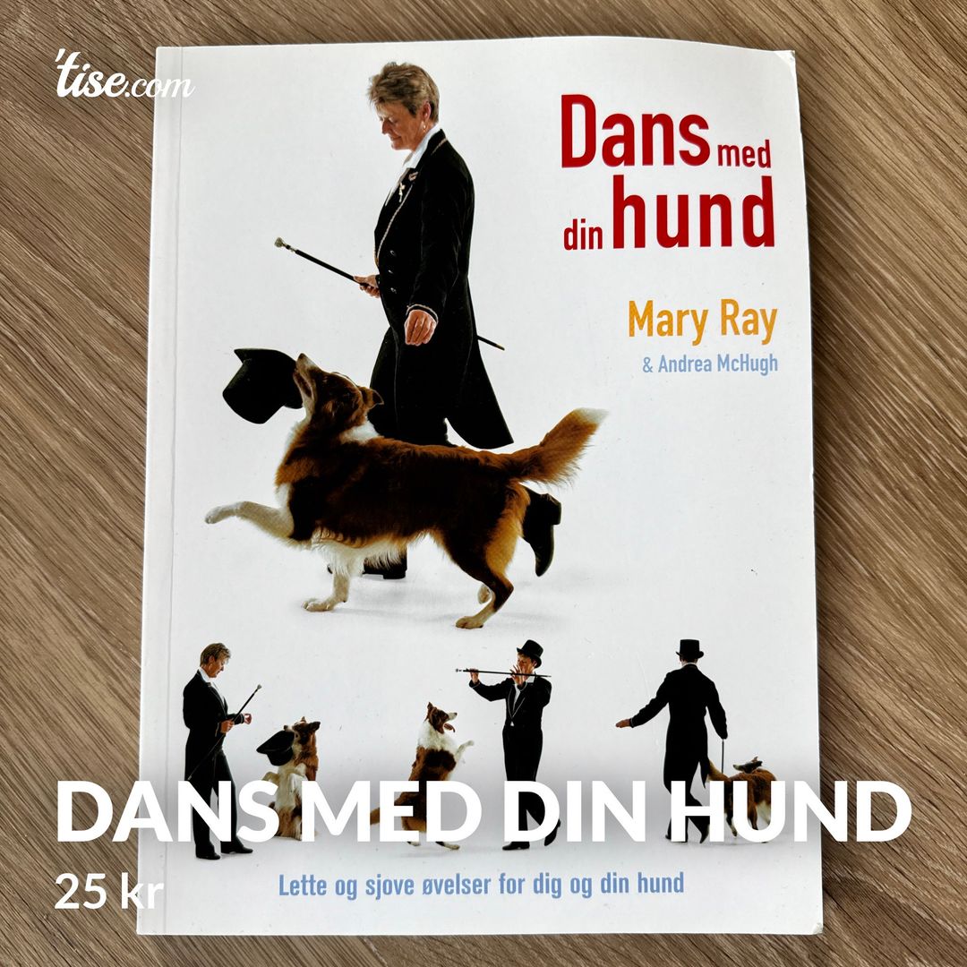 Dans med din hund