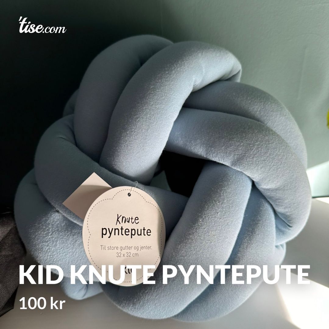 Kid Knute Pyntepute