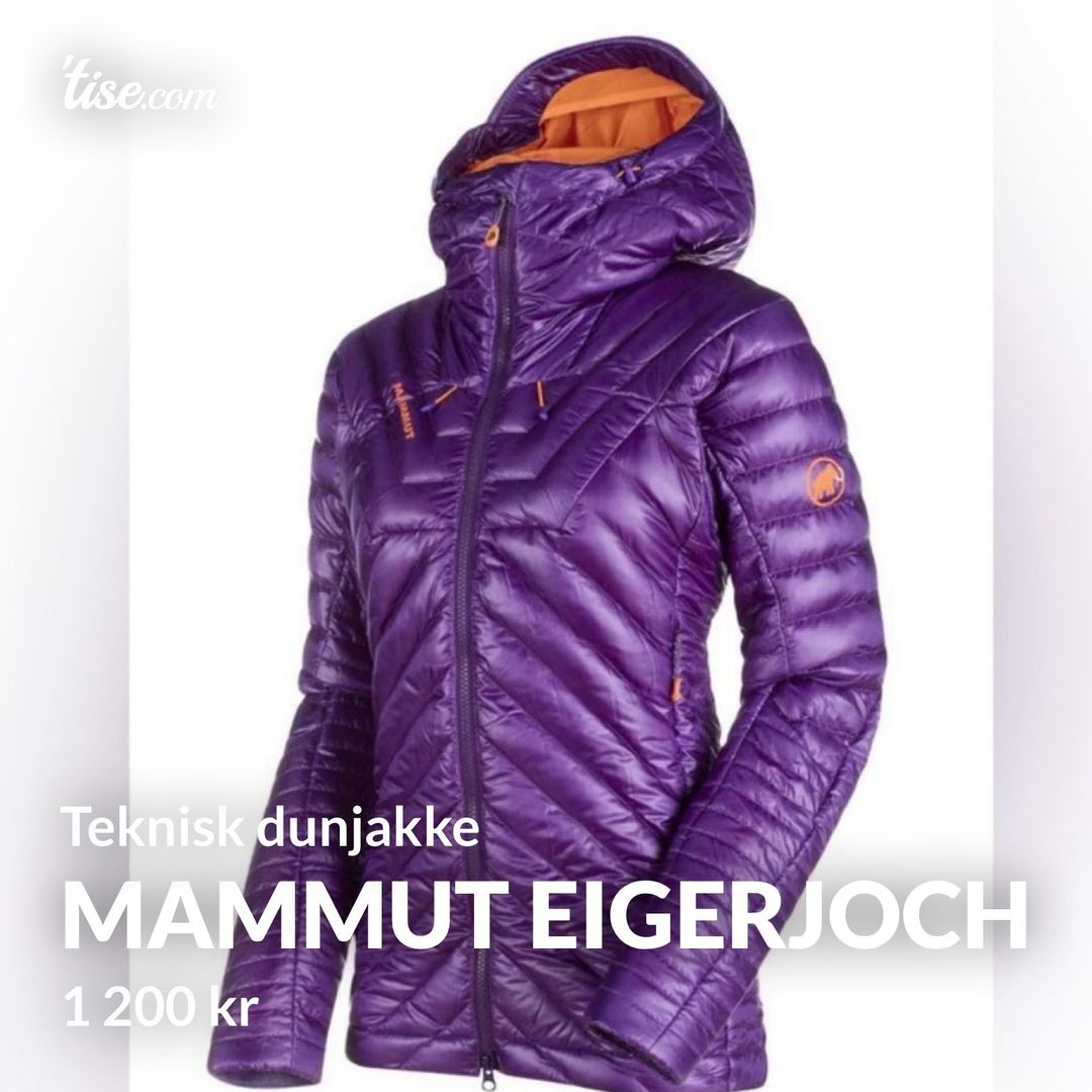 Mammut Eigerjoch