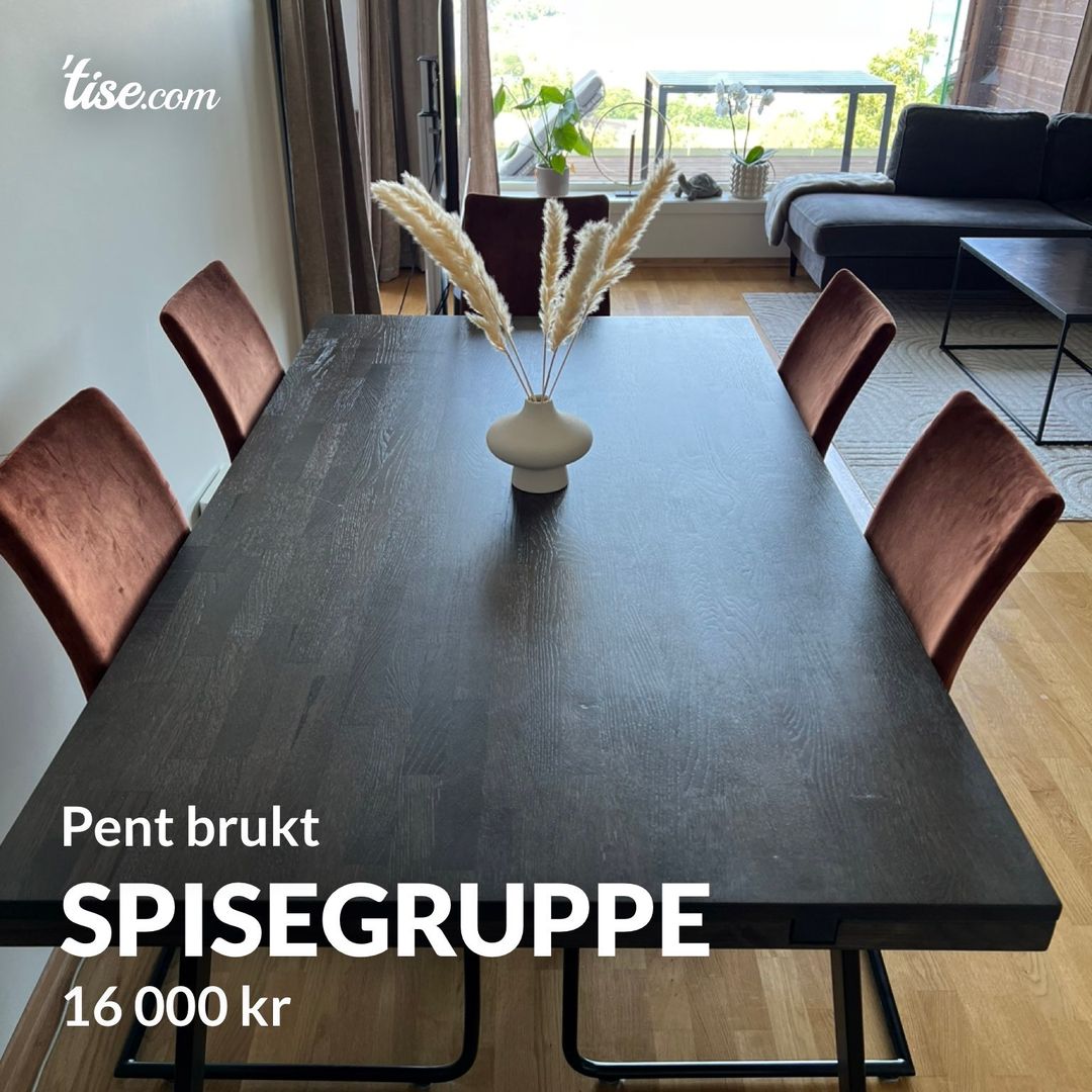 Spisegruppe