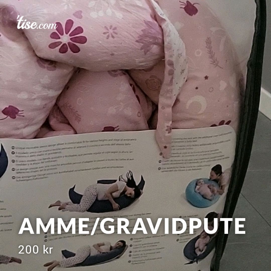 Amme/gravidpute