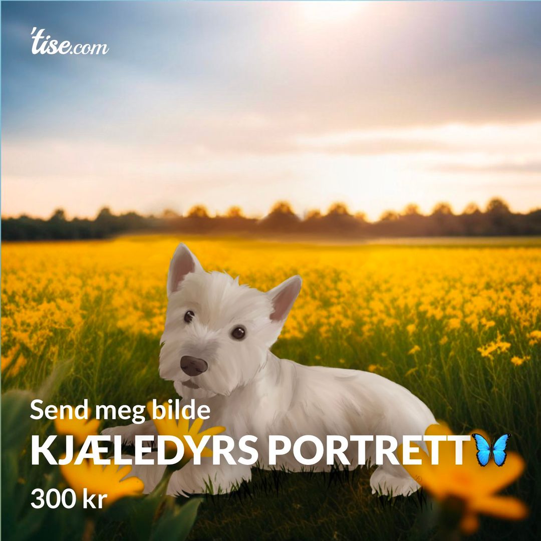 Kjæledyrs portrett🦋