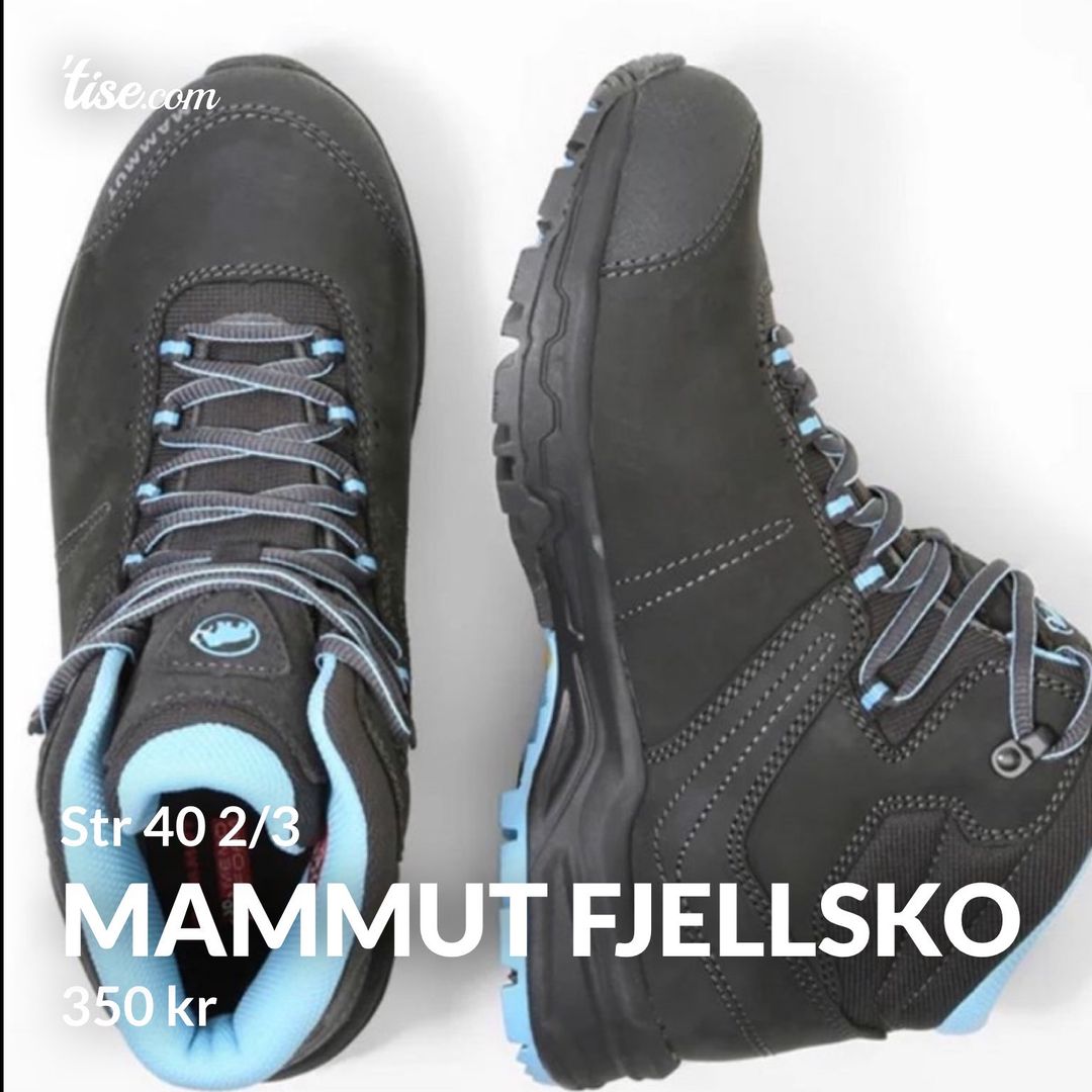 Mammut fjellsko