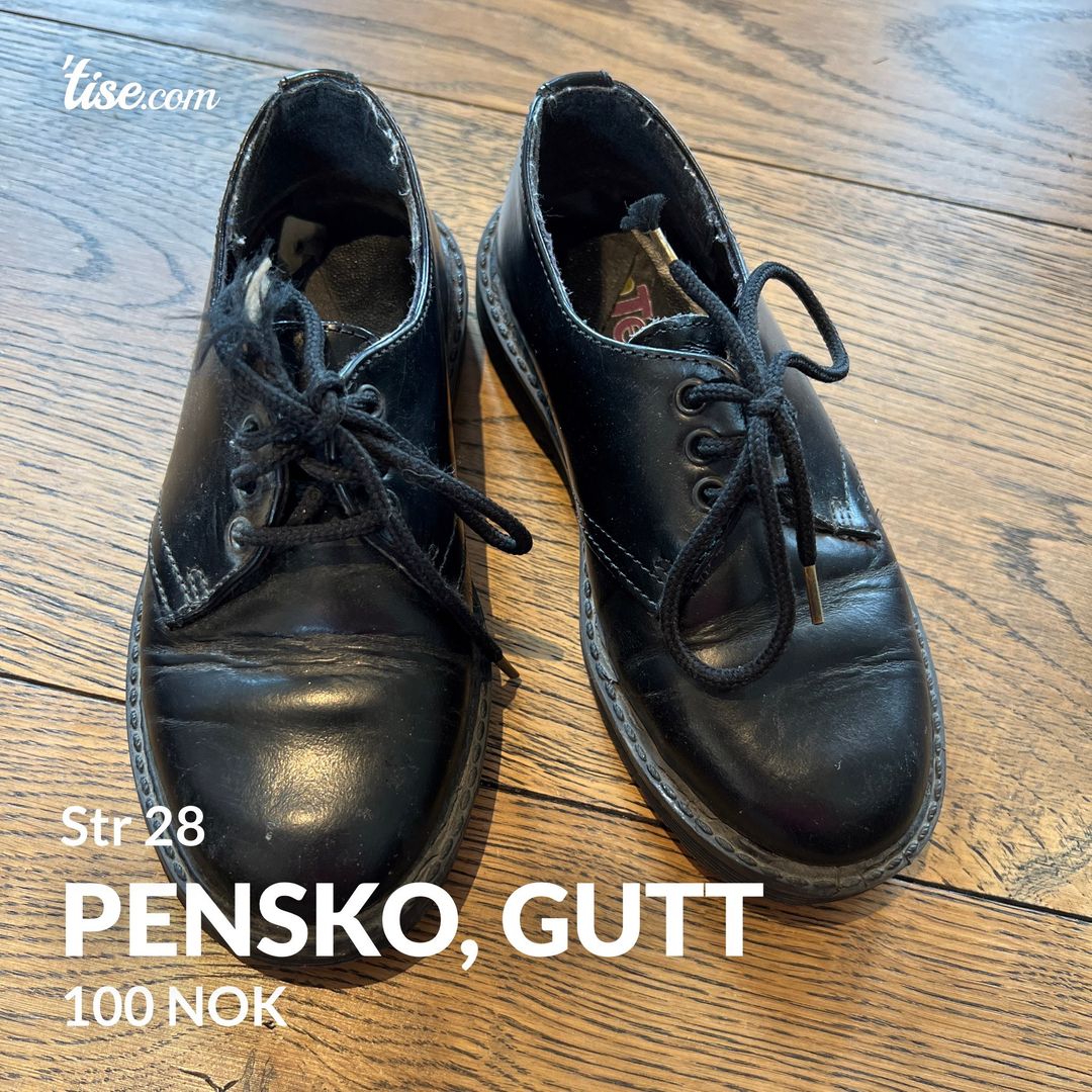 Pensko gutt