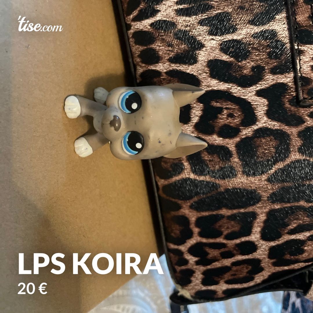 Lps koira