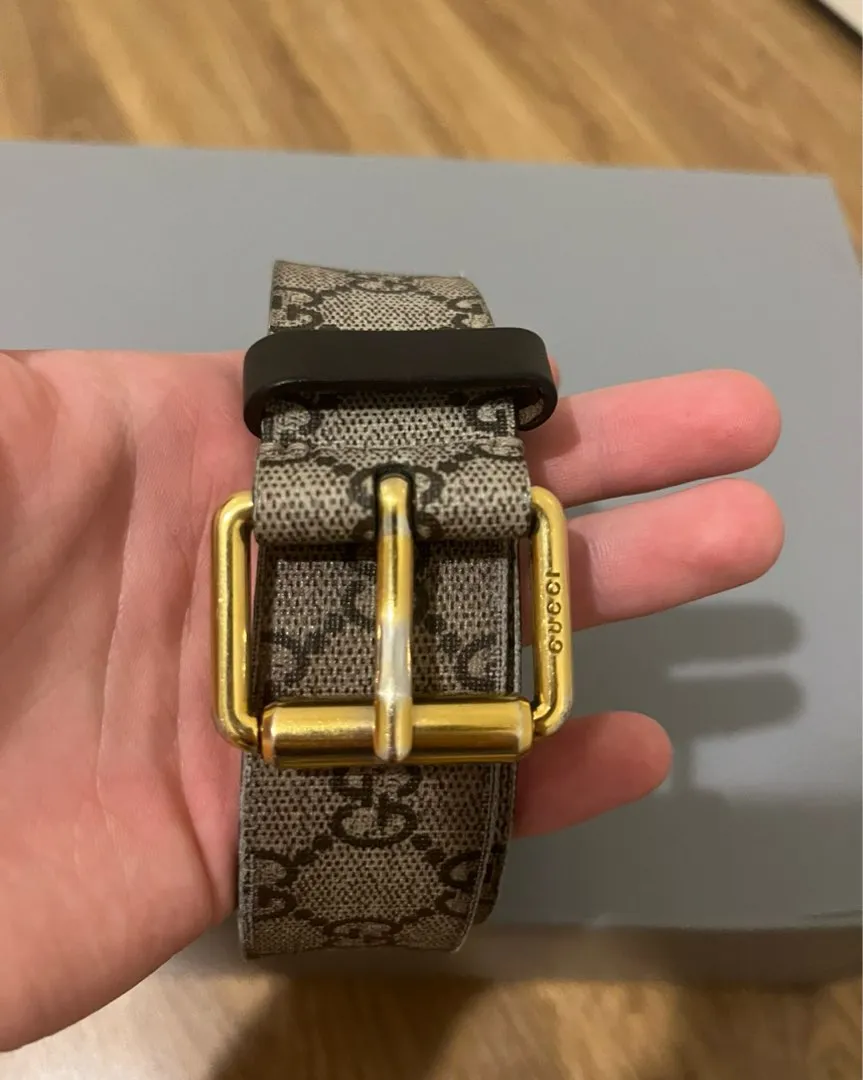 Gucci bee belt