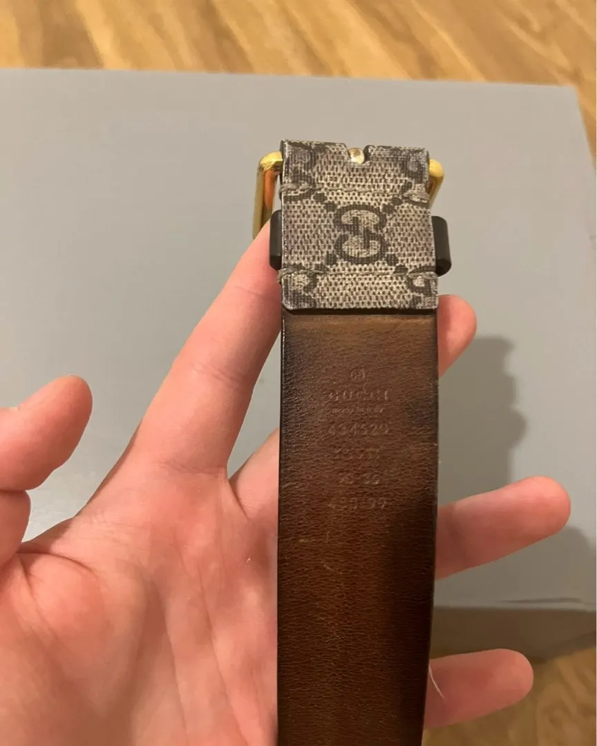 Gucci bee belt