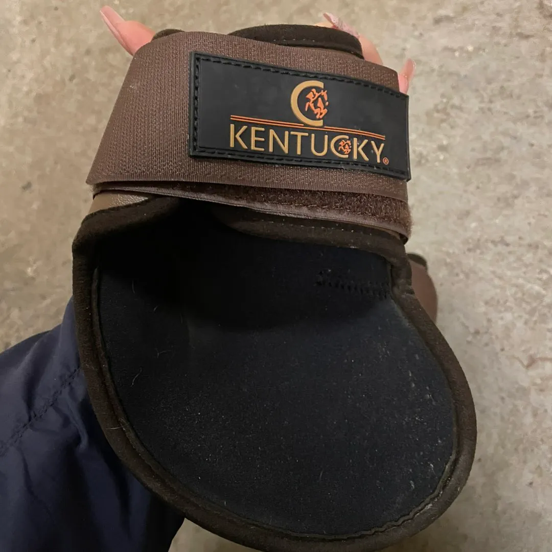 Kentucky belegg